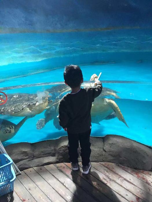 这几种沙发说什么都不能买‘十大外围足球大平台’(图1) 十大外围足球大平台