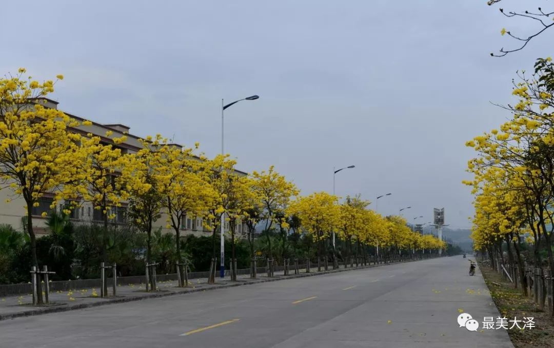 统建天成美景装修效果图整理【十大外围足球大平台】(图1) 十大外围足球平台app