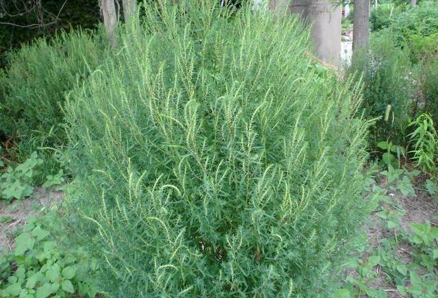 买的二手房该怎么验收?二手房验收注意事项_十大外围足球大平台(图2) 十大外围足球平台app手机版