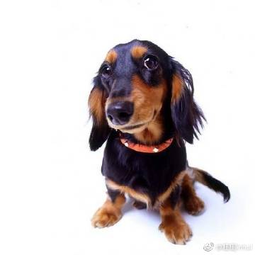 打造让群众放心满意的普惠优质教育_十大外围足球平台app手机版(图2) 十大外围足球大平台