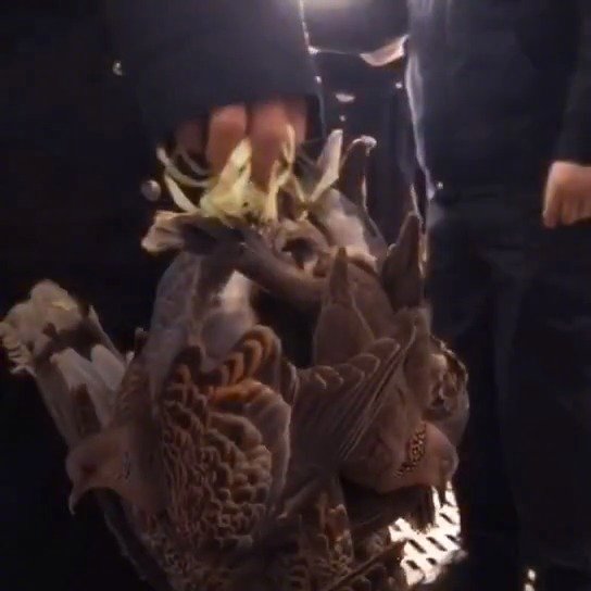 田园风卫浴玩出不同花样|十大外围足球平台app(图1) 十大外围足球平台app手机版