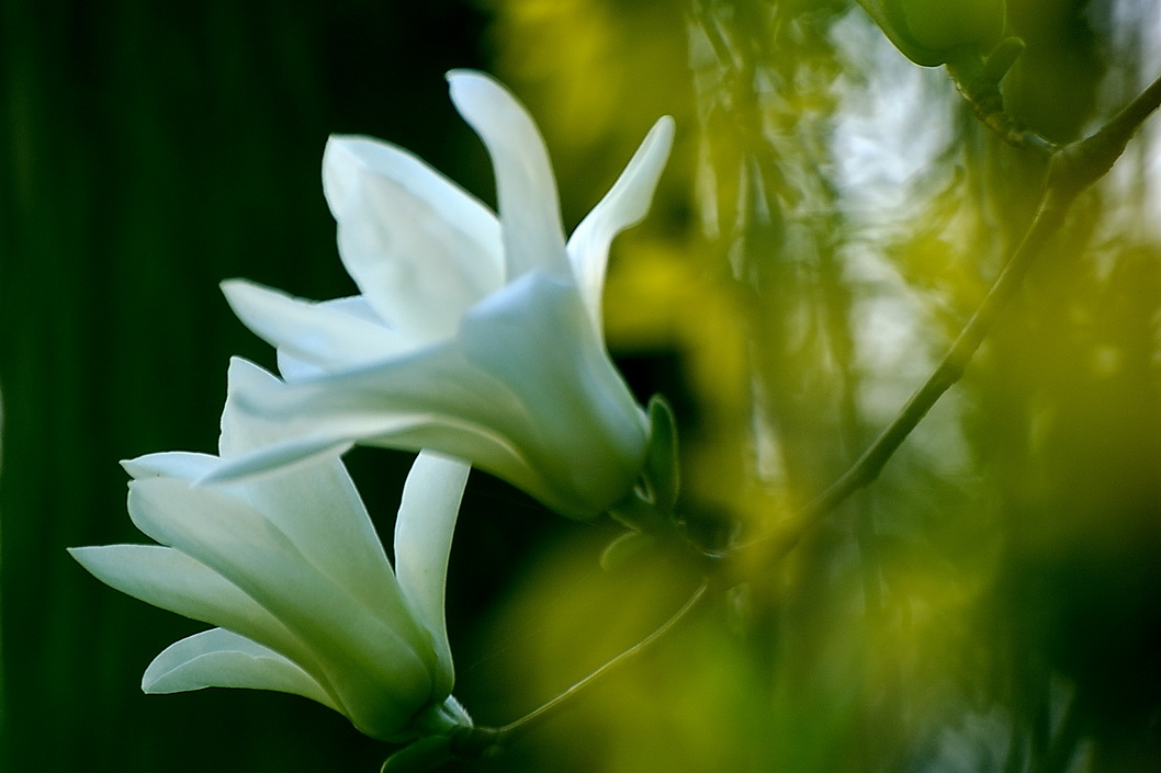 唐河县古城乡召开校园安全及周边环境治理工作推进会_十大外围足球平台app手机版(图2) 十大外围足球平台app