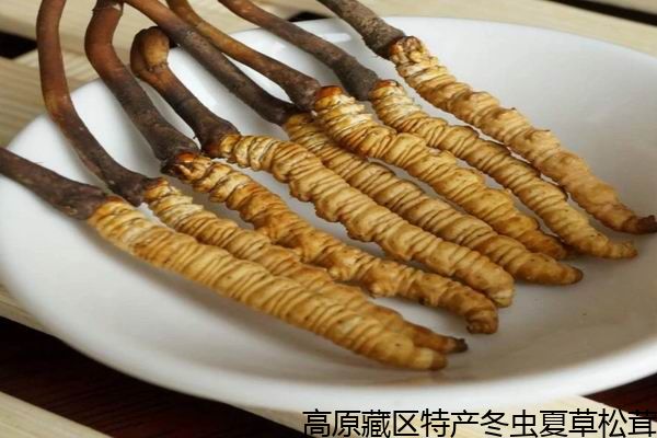 十大外围足球平台app_漯河12岁少年患病师生捐款献爱心(图2) 十大外围足球平台app