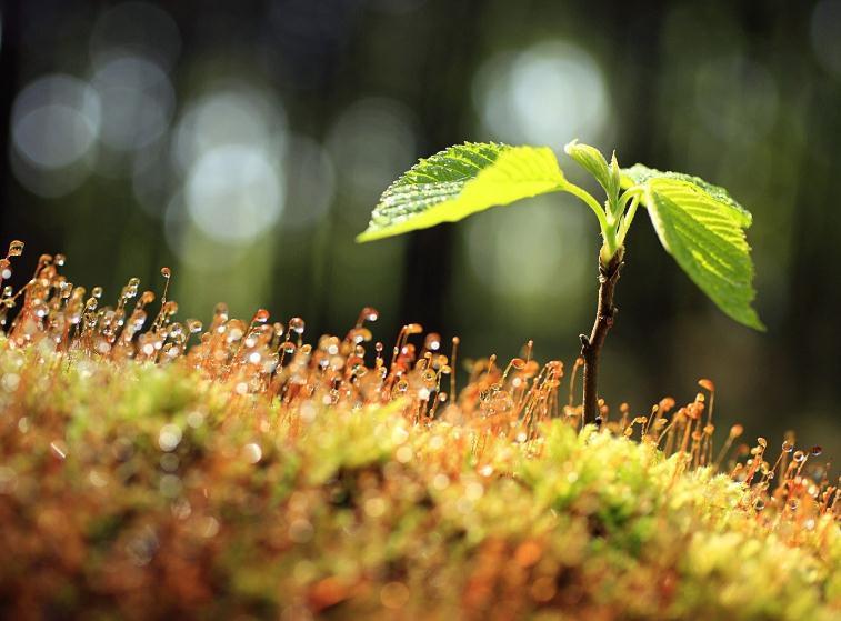 十大外围足球大平台_方城县教体局召开贯彻落实中央八项规定精神警示约谈会(图2) 十大外围足球平台app