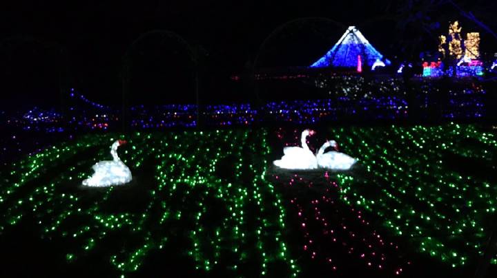 【十大外围足球平台app手机版】河南工业大学“爱粮”小分队到我市开展暑期实践(图1) 十大外围足球平台app