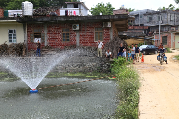 十大外围足球平台app