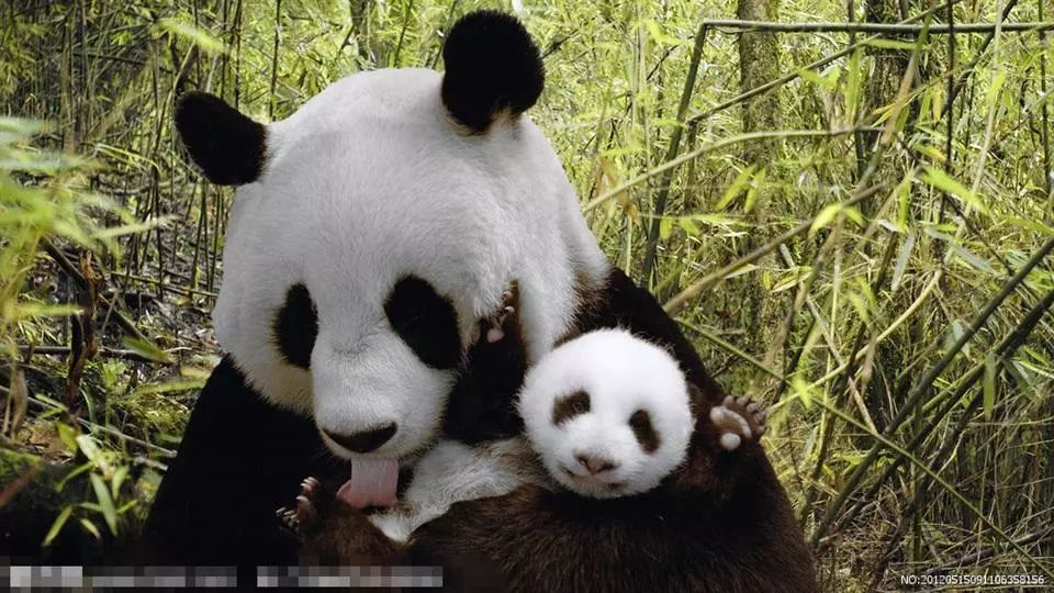 十大外围足球大平台-上街区教体系统工会组织开展“六一”慰问活动(图2) 十大外围足球大平台