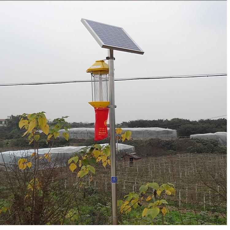 十大外围足球大平台