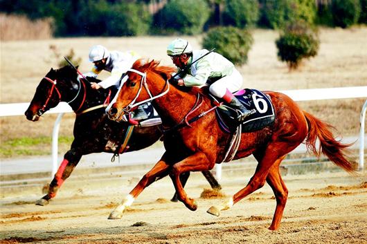 十大外围足球平台app手机版|1.8米床四件套尺寸是多少?(图1) 十大外围足球大平台