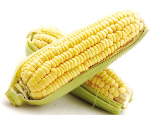 十大外围足球大平台