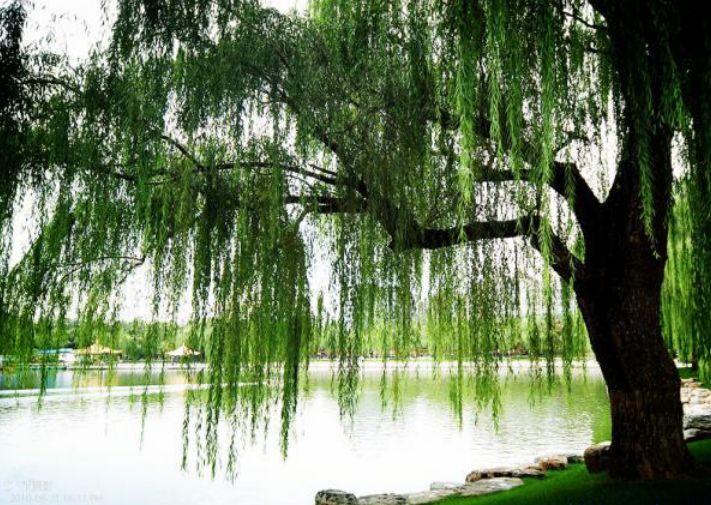 十大外围足球平台app手机版