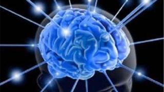 十大外围足球平台app