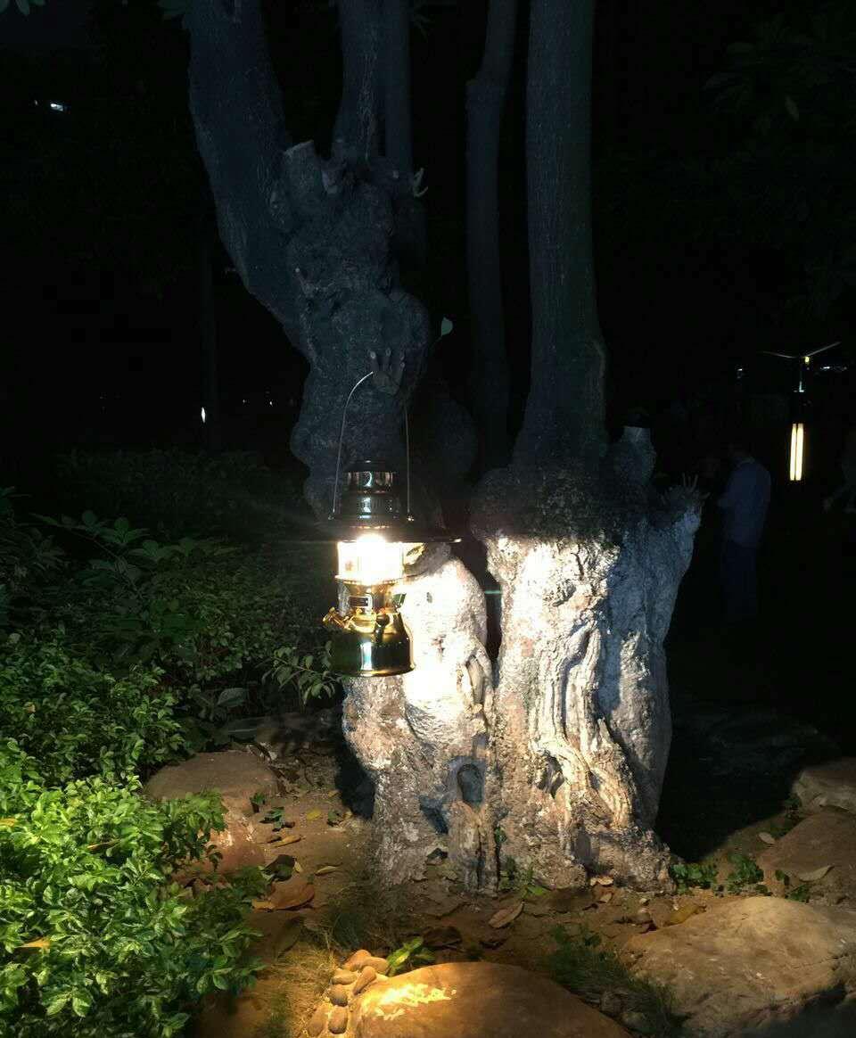 十大外围足球平台app手机版