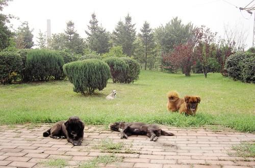 十大外围足球平台app手机版