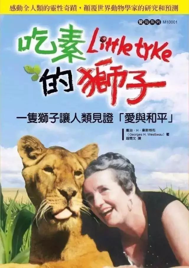 十大外围足球平台app手机版