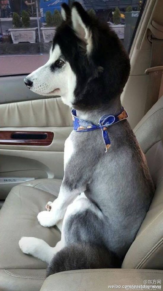 十大外围足球平台app