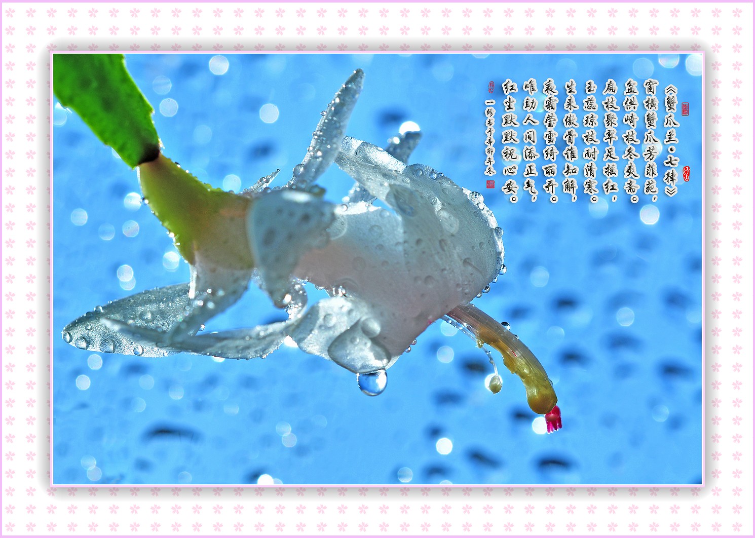 十大外围足球大平台_淇县在全县中小学深入开展学雷锋系列活动(图)(图1) 十大外围足球平台app