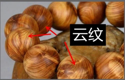 【十大外围足球平台app】家装风水之室内旺财植物有哪些?(图1) 十大外围足球平台app手机版