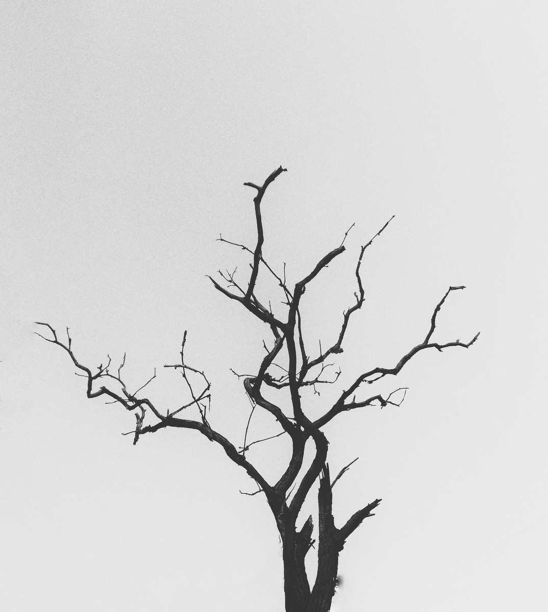 “十大外围足球平台app”汝南县教体局参加区域课改“河南现象”典型经验交流会(图2) 十大外围足球平台app手机版