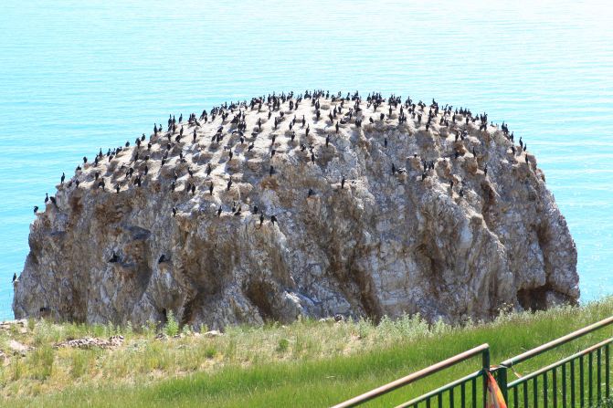 十大外围足球平台app手机版