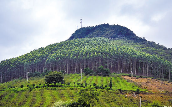 十大外围足球大平台