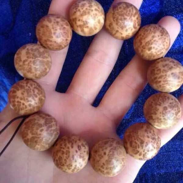 十大外围足球平台app