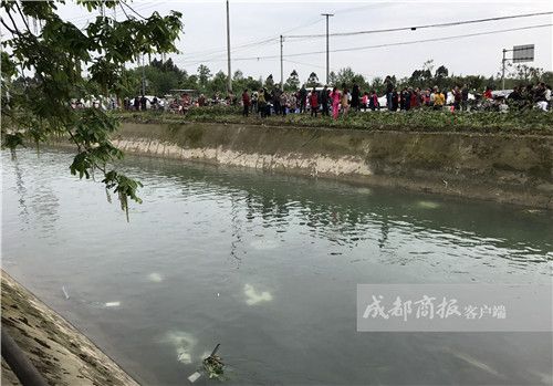 铝塑复合管十大品牌有哪些?:十大外围足球平台app手机版(图4) 十大外围足球平台app手机版